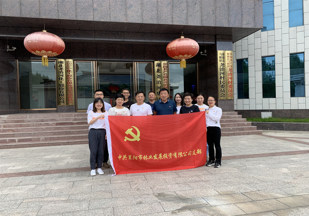 林投主题党日图片2_副本.jpg