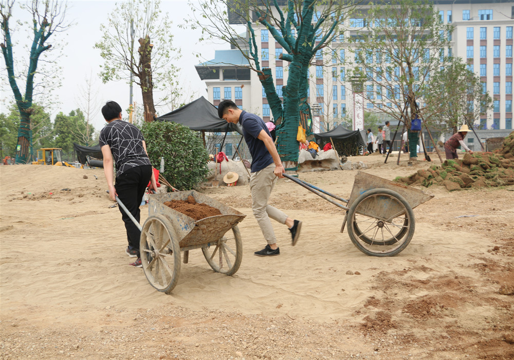 IMG_8153_副本.jpg