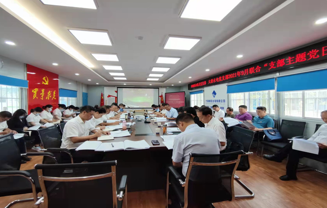 图1-主题党日活动.jpg