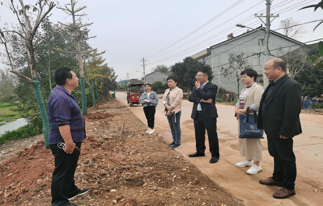 生态投公司一行调研小河村黄畈河道两岸绿化整治工程现场.png 生态投公司一行调研小河村黄畈河道两岸绿化整治工程现场.png