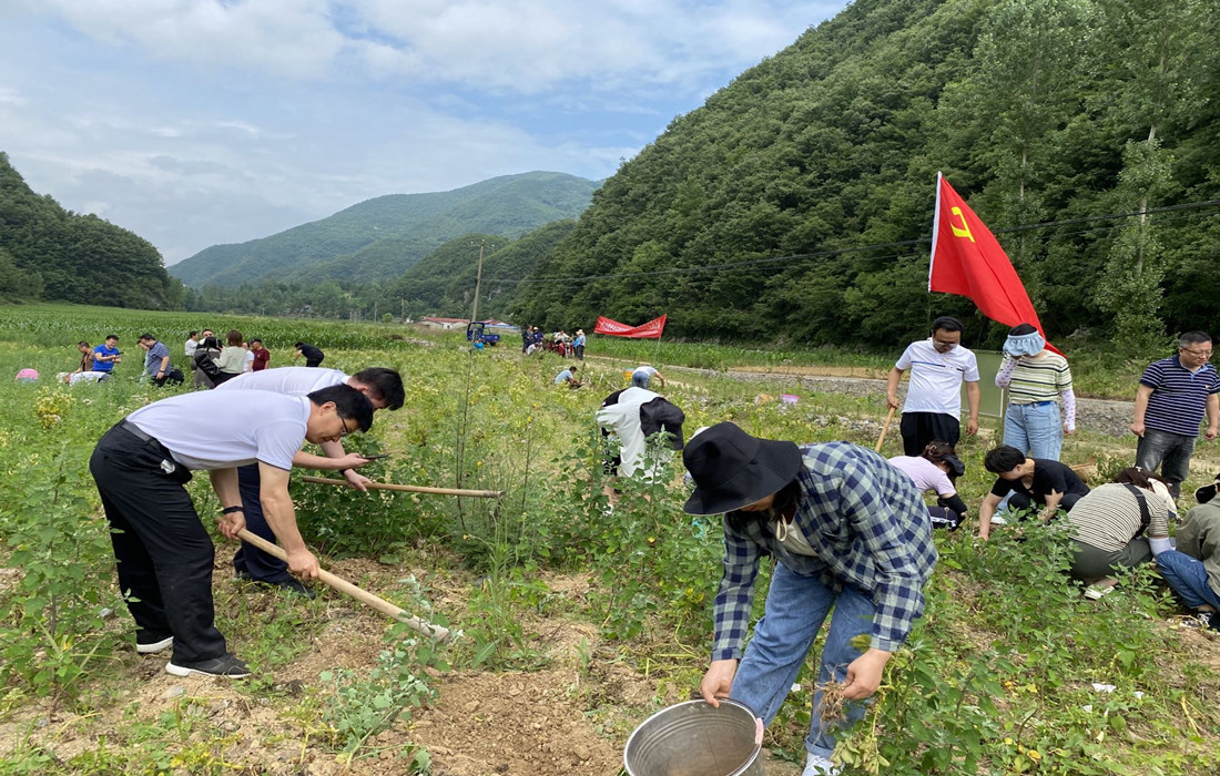 4.党员干部们挖土豆.jpg 4.党员干部们挖土豆.jpg