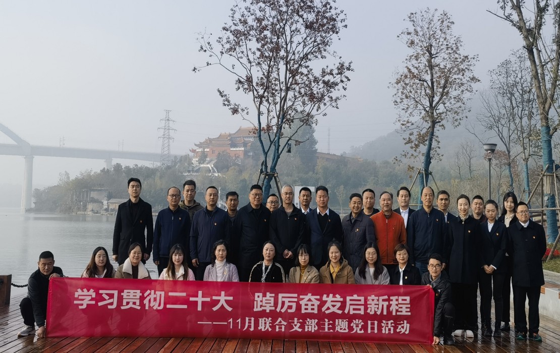 图片1：生态投开展11月联合支部主题党日活动，项目现场照片.jpg