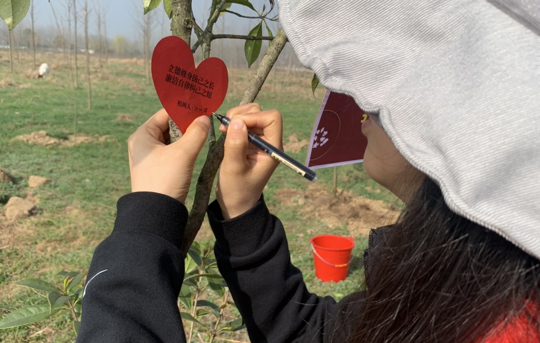 20230313  路桥植树-2.jpg