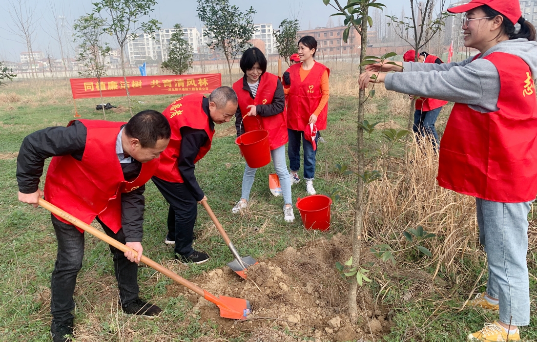 20230313  路桥植树-1.jpg