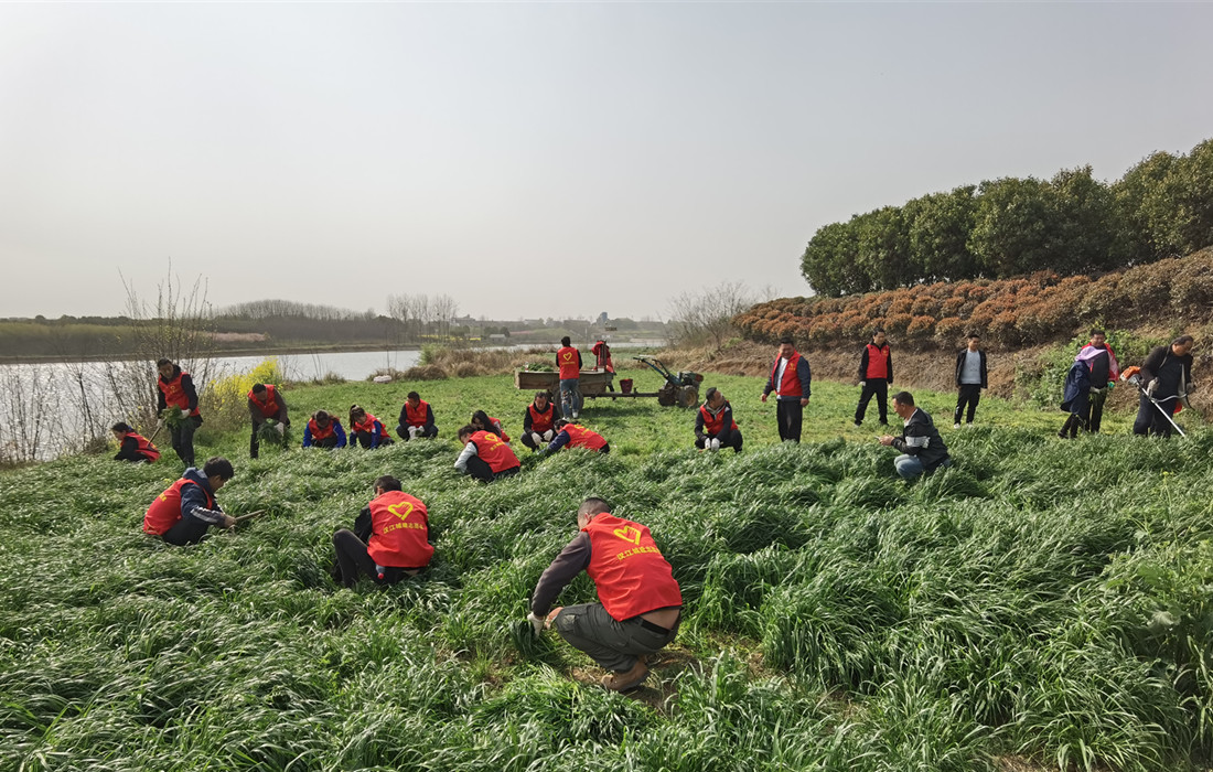 助农活动 (3).jpg