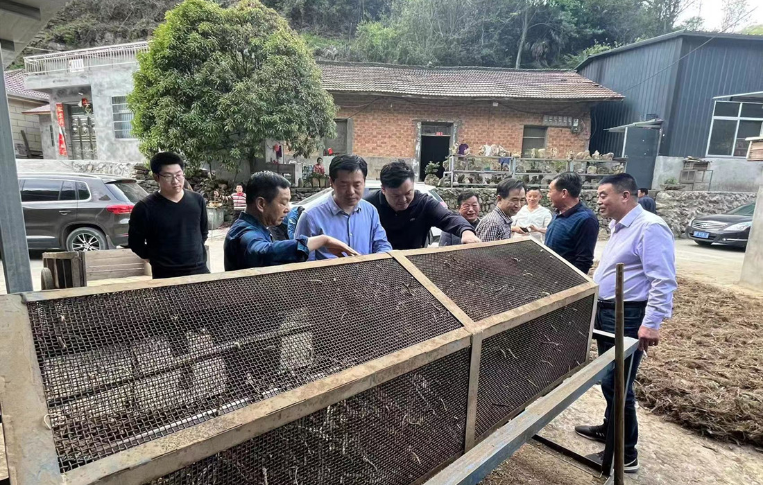 微信图片_20230420103247.jpg 微信图片_20230420103247.jpg
