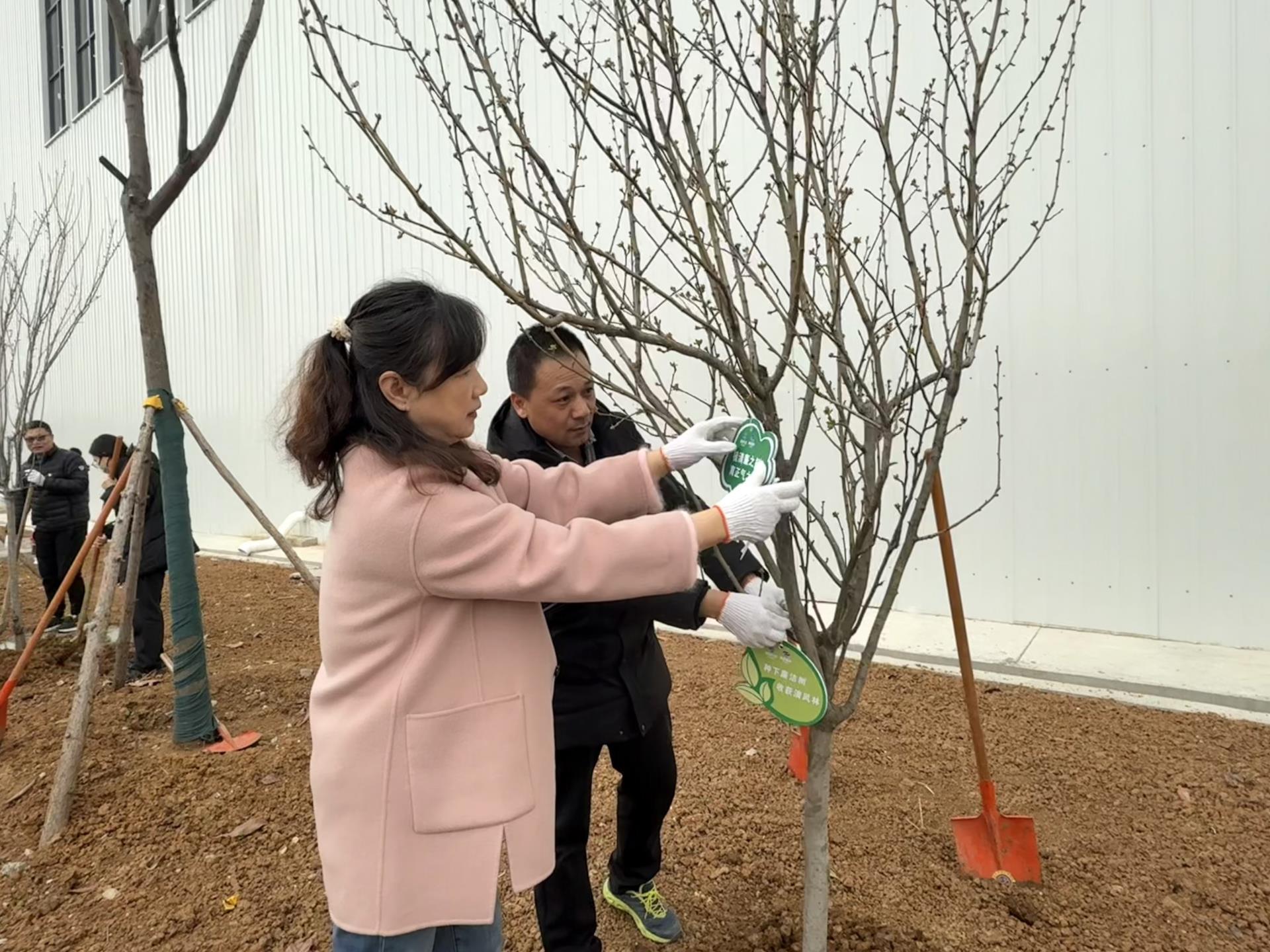 图为子公司国创公司结合植树节主题，创新开展植“清风林”树廉洁心活动。.jpg