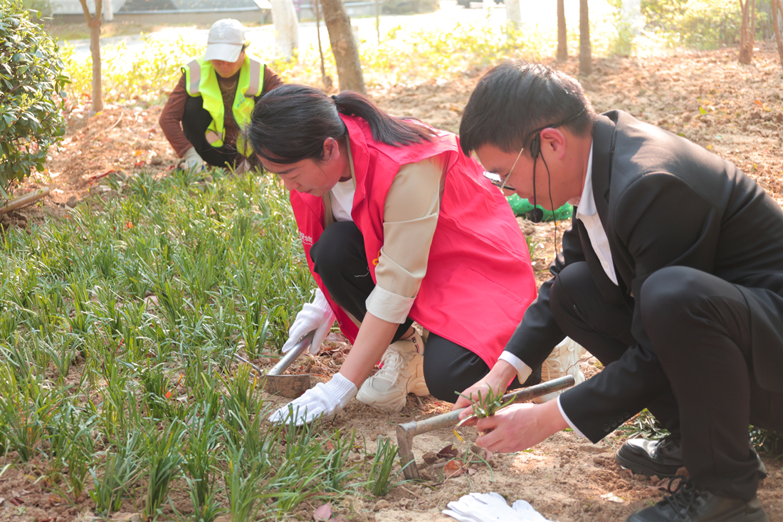 滨江园小区植树.jpg 滨江园小区植树.jpg