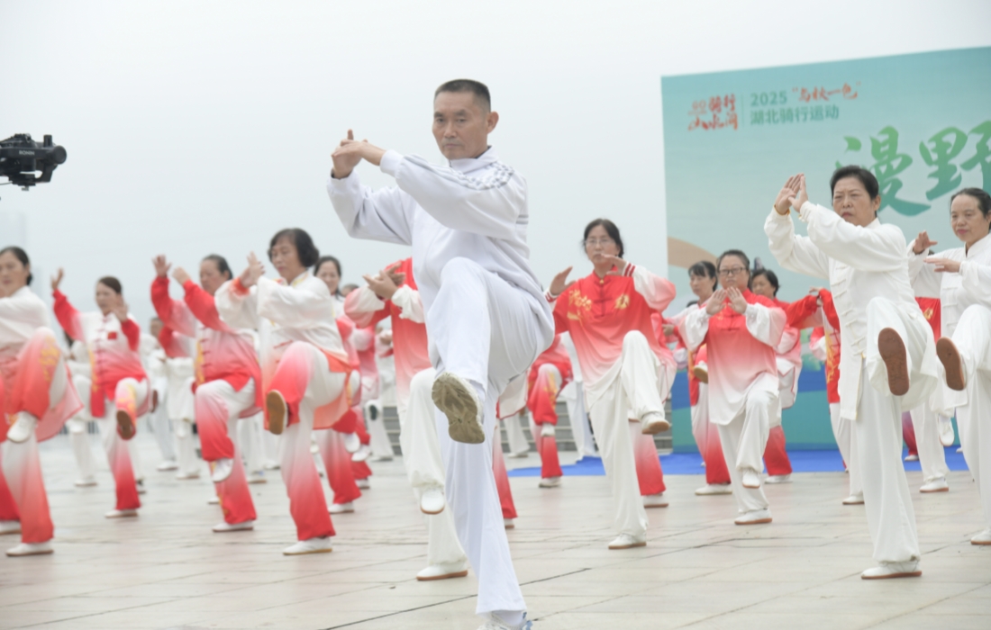 图片8_官网.jpg 图片8_官网.jpg