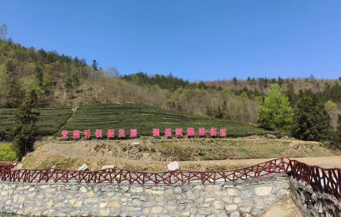 图2-茶山官网.jpg 图2-茶山官网.jpg