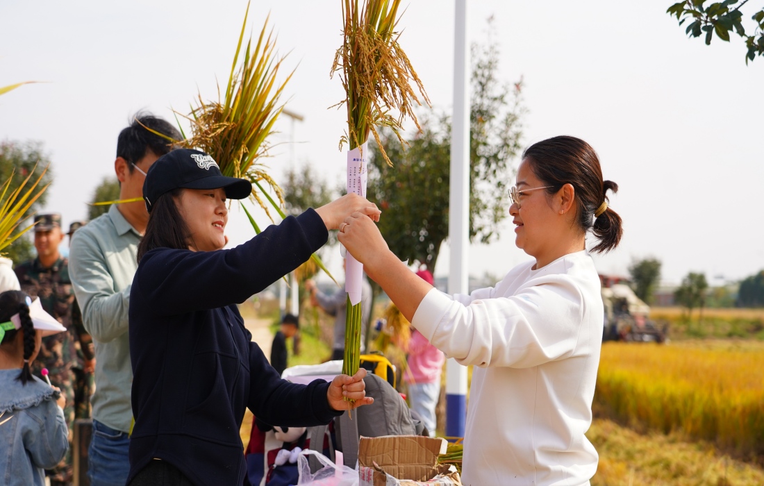 微信图片_20251111170137_284_139(1).jpg 微信图片_20251111170137_284_139(1).jpg